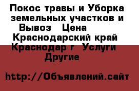 Покос травы и Уборка земельных участков и Вывоз › Цена ­ 250 - Краснодарский край, Краснодар г. Услуги » Другие   
